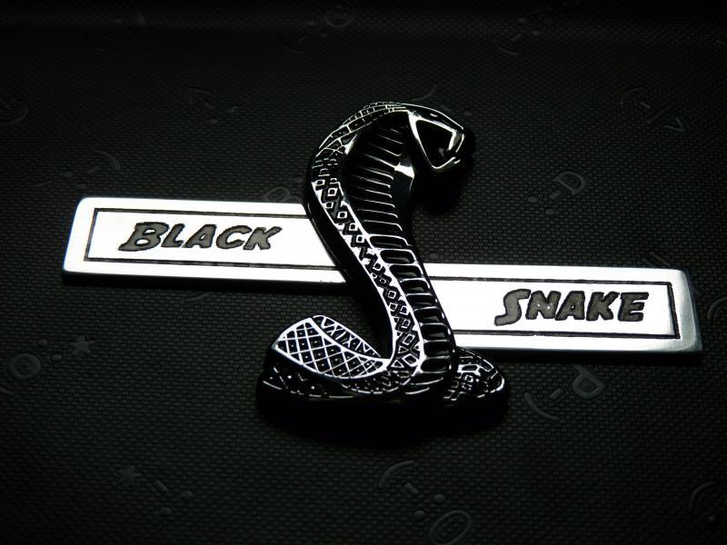 cobra 1.jpg